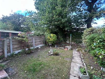 Picture 13